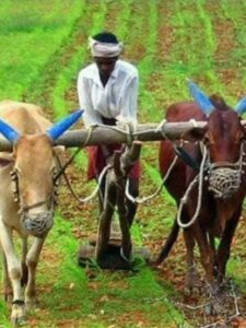 Pradhan Mantri Kisan Maandhan Yojana