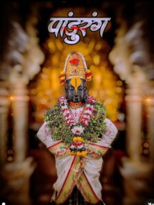 Aashadhi Ekadashi Vitthal Darshn