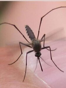 WhatsApp Image 2024-07-10 at 11.24.32 PM