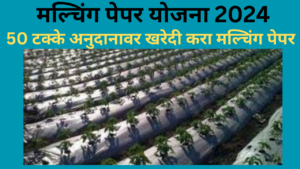 Mulching Paper Subsidy Yojana