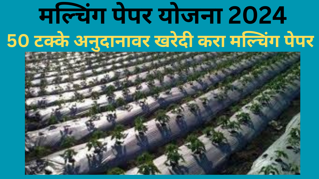 Mulching Paper Subsidy Yojana