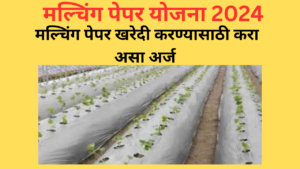 Mulching Paper Subsidy Yojana 