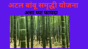 Atal Bamboo Samriddhi Yojana 