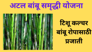 Atal Bamboo Samriddhi Yojana 