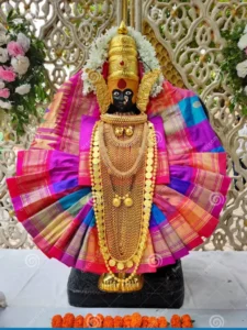 Navratri Colour 2024