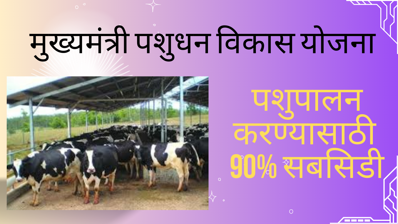 Mukhyamantri Pashudhan Vikas Yojana