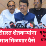 Devendra fadnavis 11 thousand crores for farmers affected by heavy rains css