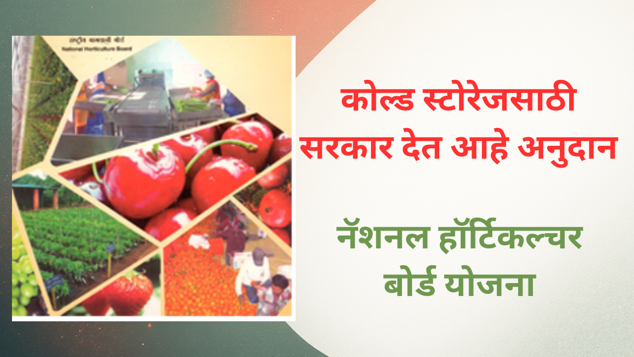 national horticulture board nhb cold storage subsidy scheme in marathi