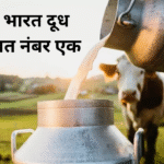 india continues to lead global milk production
