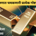 Sebi Issues Warning Regarding Digital Gold Know The Risks Involved