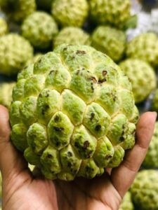 these people should not eat custard apple at all