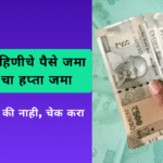 Ladki Bahin Yojana November Installment
