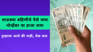 Ladki Bahin Yojana November Installment