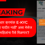 Ladki Bahin Yojana Aadhar Not in e-KYC List ?