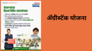 Budget 2026 In Marathi