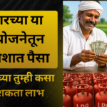 सरकारच्या या सहा योजनेतून थेट खिशात पैसा