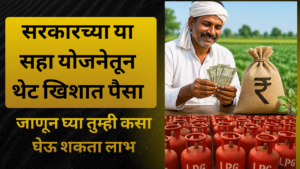 सरकारच्या या सहा योजनेतून थेट खिशात पैसा