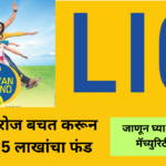 LIC New Jeevan Anand Plan with bonus and maturity benefits