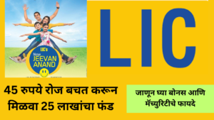 LIC New Jeevan Anand Plan with bonus and maturity benefits