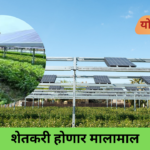 Agri-voltaics system with elevated solar panels installed above crops on an Indian farm