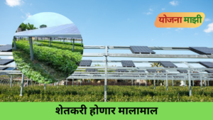 Agri-voltaics system with elevated solar panels installed above crops on an Indian farm