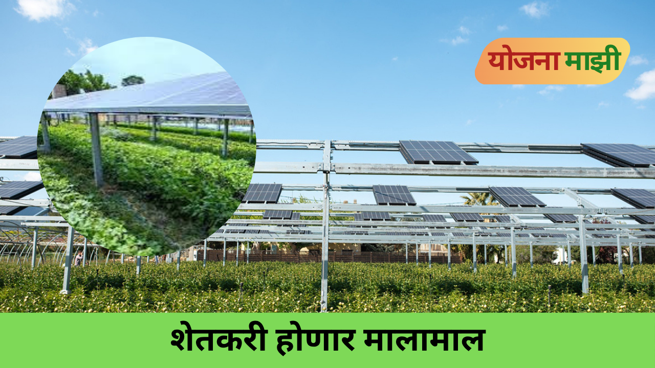 Agri-voltaics system with elevated solar panels installed above crops on an Indian farm